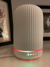 Load image into Gallery viewer, Electric White Ceramic Diffusers
